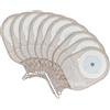 Fyearfly Sacchetti Per Colostomia, Forniture per colonstomia 10 pezzi di sacchetti per colostomia sacchetto per la cura orale di ileostomia tagliato per adattarsi per colostomia Supporti per stomia