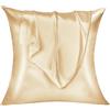 Lirex Set di 2 Federe in Raso 50x50cm, Protezione Capelli e Pelle & Antirughe, Chiusura a Busta,(Champagne)