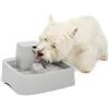 PetSafe Drinkwell - Fontana d'acqua per cani e gatti da 1 gallone, ideale per razze di cani di medie dimensioni e più famiglie di gatti, design facile da pulire, filtro incluso