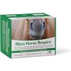 NBF Lanes Ribes Horse RESPIRO 30 Buste da 25 ml cad