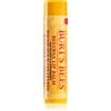 Burt's Bees Lip Balm Original Beeswax 4.25 g