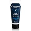 Delia Cosmetics Cameleo Men 150 ml
