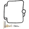 Qiilu Kit di Riparazione del Carburatore Sostituzione del Kit di Riparazione del Carburatore per Moto 18 Pezzi adatto per DR650 DR650SE DR 650 650SE 1992-1995
