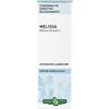 Melissa foglie tintura idroalcolica 50 ml ebv - Erba Vita - 902698760