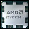 AMD Ryzen 7 7700 processore 3,8 GHz 32 MB L3 Vassoio [100-000000592]