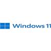 Microsoft Windows 11 Pro