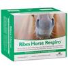 NBF LANES RIBES HORSE RESPIRO 30bs x 25 ml - Salute Respiratoria Per Cavalli
