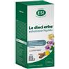 Esi - Le Dieci Erbe Soluzione Liquido Regolarità Intestinale Confezione 180 Ml