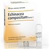 ECHINACEA COMP S 10F FT HEEL - - 800170526