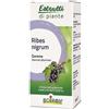 RIBES NIGRUM MG 60ML INT - BOIRON - 977632052