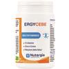 ERGYCEBE 90CPS - LABORATORI NUTERGIA - 944247889
