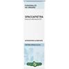 Spaccapietra tintura idroalcolica 50 ml ebv - Erba Vita - 902699735
