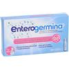Enterogermina - Enterogermina 2 miliardi/5 ml sospensione orale 10 flaconcini 5 ml