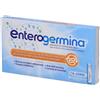 Enterogermina - Enterogermina 4 miliardi/5 ml sospensione orale - 10 flaconcini