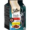 Sheba Delices Gourmands Taste of Paris 6 x 50 g - Manzo, Pesce bianco, Fegato di Pollo