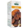 DR.GIORGINI SER-VIS Srl Reishi 180 pastiglie - GIORGINI - 983510177