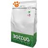Bottos Royal Sea Sementi per Prato - Confezione Da 10 Kg