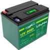 LIFEPO4 PACCO BATTERIA RICARICABILE LITIO FERRO FOSFATO PILA