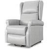 EVERGREENWEB MATERASSI & BEDS EVERGREENWEB Poltrona Relax Elettrica con Sistema Alzapersona per Anziani con Bottone, Poltrona Reclinabile con Braccioli, Seduta Ergonomica in Ecopelle Grigia, per arredo Salotto Soggiorno Ufficio