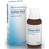 GUNA SPA Heel Galium Gocce 30 Ml