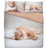 Bassetti Parure copripiumino MATRIMONIALE Extra 250x200+40 e due federe 50x80 Escluso lenzuolo sotto (EX120 GATTO)
