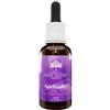 BUSH BIOTHERAPIES PTY LTD Spirituality Essence Gocce 30 Ml
