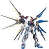 Gundam MG 1/100 ZGMF-X20A Strike Freedom Gundam full burst mode Mobile Suit Gundam VEDI