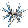 BANDAI SPIRIT RG Mobile Suit Gundam SEED DESTINY ZGMF-X20A Strike Freedom Gundam Model Kit JP