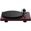 Pro-Ject Debut EVO 2 Giradischi trazione a cinghia