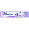 Boiron Rhus Toxicodendron 30Ch Tubo 80 Granuli 4G