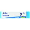 BOIRON GLOBULI Boiron Arnica Montana Globuli 09Ch Dose 1G