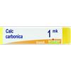 BOIRON GLOBULI Boiron Arnica Montana Globuli 1Mk Dose 1G