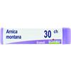 Boiron Arnica Montana Globuli 30Ch Dose 1G
