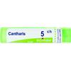 BOIRON GRANULI Boiron Cantharis Granuli 05Ch Tubo 4G