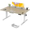 TRIUMPHKEY Scrivania Regolabile in Altezza Elettrica 140 x 80cm,Scrivania multifunzione per computer,3 Altezze di Memoria 72 - 118 cm,con Porta di Ricarica USB,Standing Desk,per Ufficio
