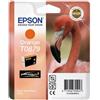 Epson Cartuccia Epson arancio ultrachrome taglia blister C/RF [C13T08794010]