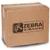 Zebra P1046696-016 testina stampante