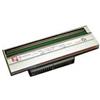 Zebra P1004236 Trasferimento termico testina stampante