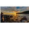 Samsung Pannello piatto interattivo Samsung IF020R Full Hd 480x270p Smart led Nero [LH020IFRCLS/EN]