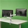 R-go tools Supporto da scrivania R-Go Tools per 2 monitori 24''-32'' 100x100mm carico 8kg Nero [RGOVLZE4TWSI]