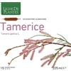 NATURA SERVICE Srl TAMERICE 15AMPOLLE