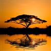 Pro-Art-Bilderpalette PRO-Art g1671a - Decorazione da Parete, Tecnica glicée, 'African Scenery I' 30 x 30 cm, Multicolore, 50 x 50 cm
