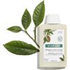 Klorane - Pierre Fabre Shampoo al Cupuaçu Ristrutturante - 400ml