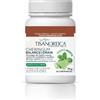 Tisanoreica CHEWINGUM GUSTO MENTA 30 pz