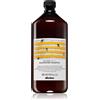 Davines Naturaltech Nourishing 1000 ml