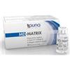 Guna MD-MATRIX ITALIA 10 VIALS INIETTABILI 2 ML