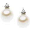 Comete Orecchini EASY BASIC ORO DIAMANTI PERLE ORP664 Comete Donna