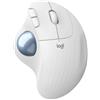 Logitech Mouse Logitech ERGO M575 for Business Wireless Graphit (910-006221)
