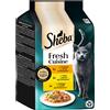 Sheba Delices Gourmands Taste of Rome 6 x 50 g - Tacchino, Pollo, Pollame in salsa