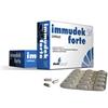 IMMUDEK FORTE SH 15CPS - IMMUDEK - 938398435